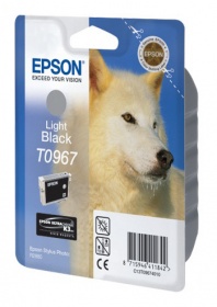  Epson C13T09674010  Stylus Photo R2880 (light black)