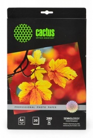  Cactus CS-SGA428020 Prof A4/280/2/20./    