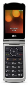 Мобильный телефон LG G360 красный раскладной 2Sim 3" 240x320 1.3Mpix BT GSM900/1800 GSM1900 MP3 micr