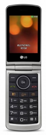 Мобильный телефон LG G360 титан раскладной 2Sim 3" 240x320 1.3Mpix BT GSM900/1800 GSM1900 MP3 microS